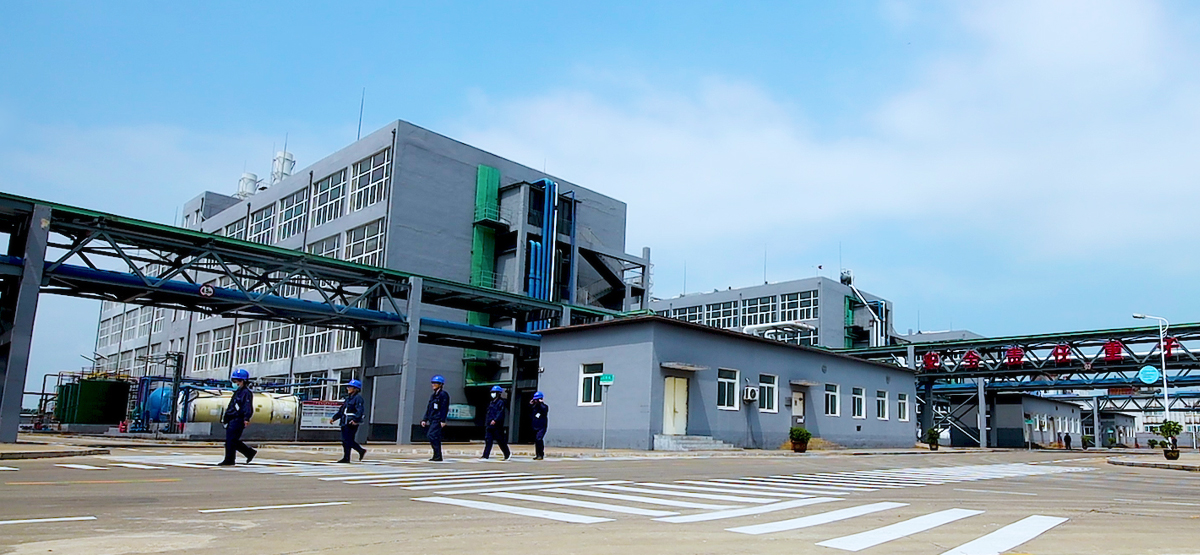 工藝技術(shù)能力